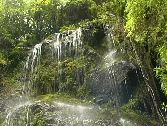 Cloudforest waterfall