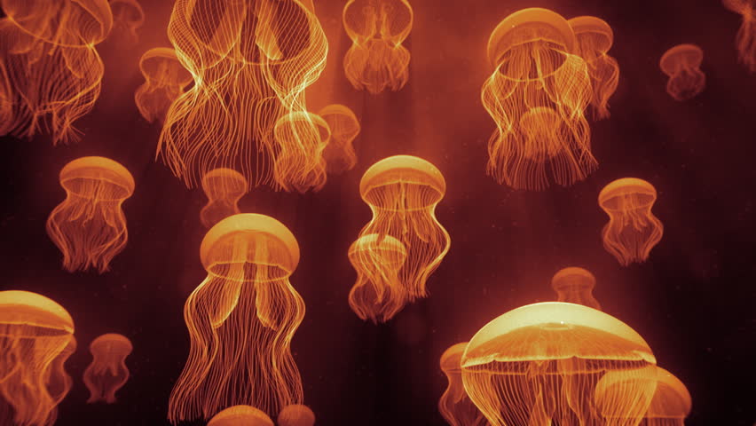 Jellyfish Ascending Towards Light Rays Orange - Preview is darker than actual - Check portfolio for variations.