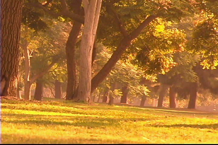 Man jogging