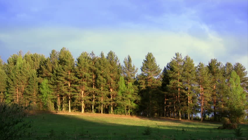 Time lapse of shadow moving on the woods 