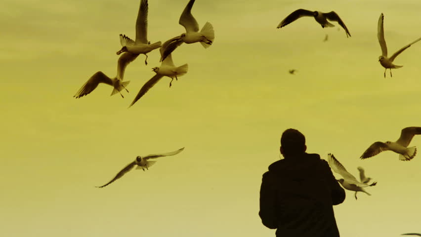 a man fed pigeons