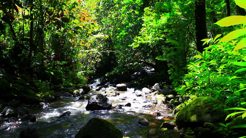 River of Tahiti island, French Polynesia.