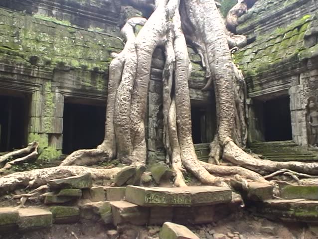 Tree roots growing over ruined Temple of Ta Prohm, Angkor, Cambodia.