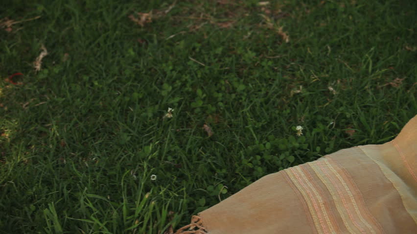 Man taking a nap lying on the grass