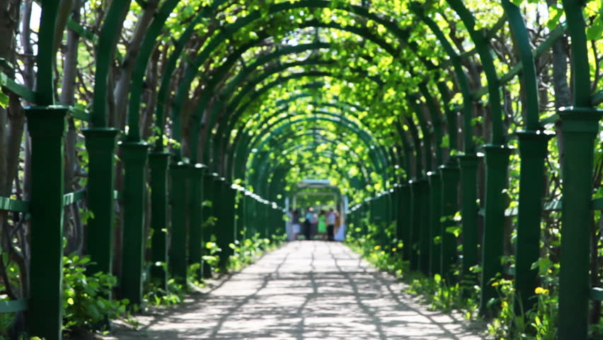 young woman leaves through arched corridor braided green plants by spring day