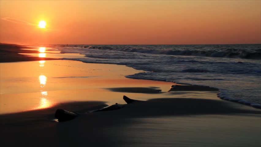 Orange and yellow light of the sun just after sunrise reflected in wet sand on beach with incoming ocean waves and some seagulls. Seamlessly looping. Shot at 1920x1080p.