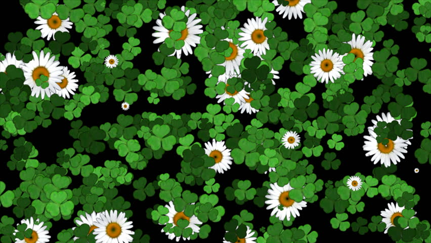 St. Patrick's Day