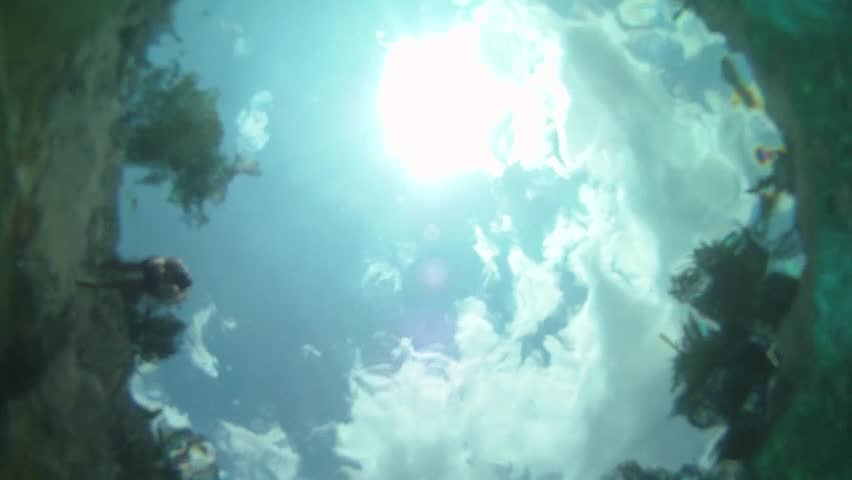 Plunging in the water