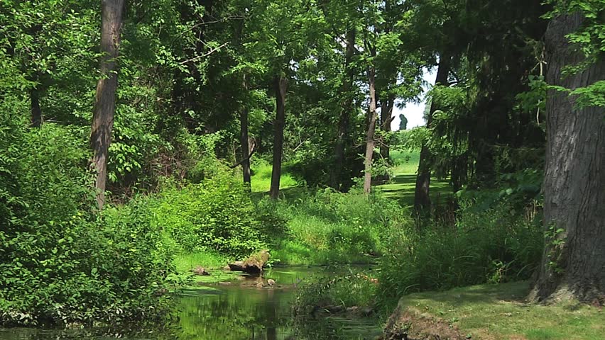 A shot of a beautiful, peaceful river glen