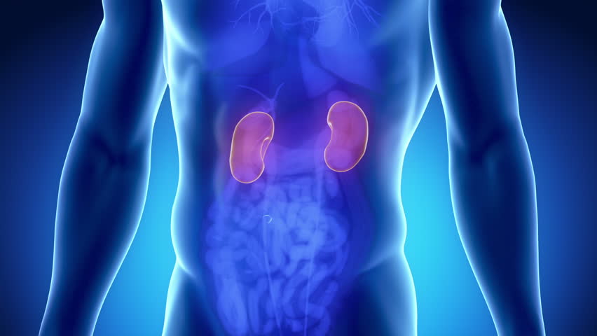 Nephrite Stock Footage Video Shutterstock