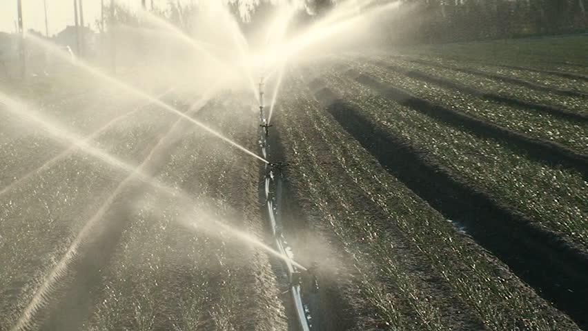 Sprinkler irrigation for watering cultivated field