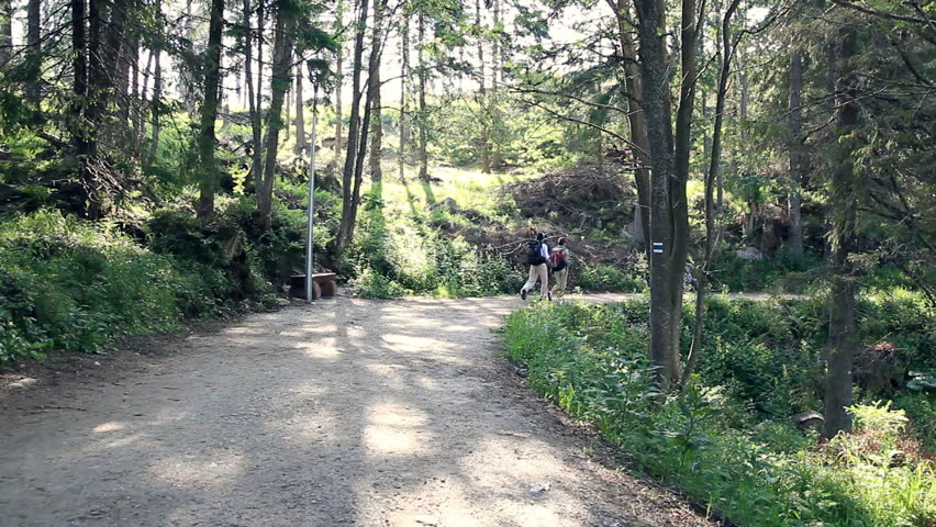 Two female friends doing nordic walking in the park, dolly shot