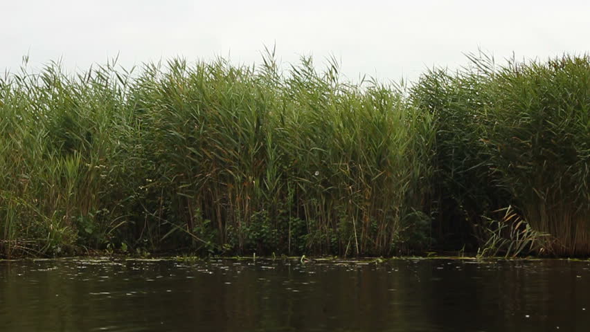 Man paddling with his red kayak on a canal in a nature reserve. 