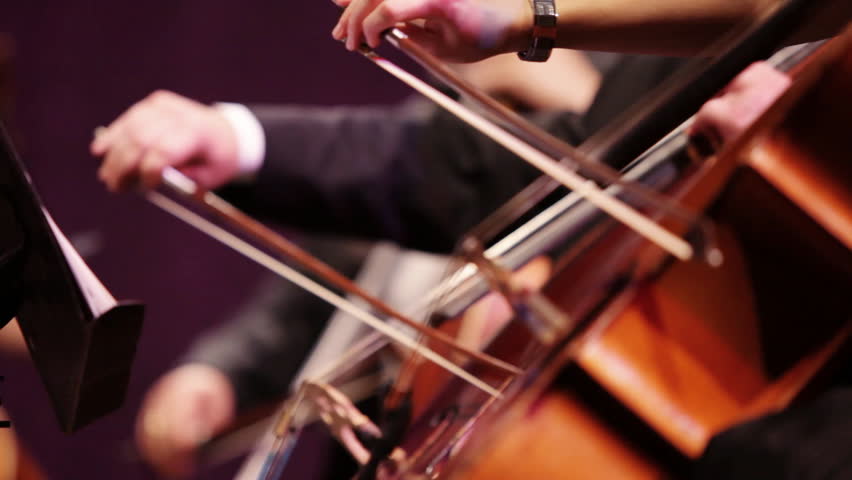 Violin at a concert