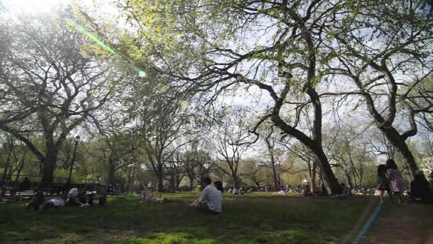 NEW YORK- CIRCA 2009 Timelapse of people in park, circa 2009.