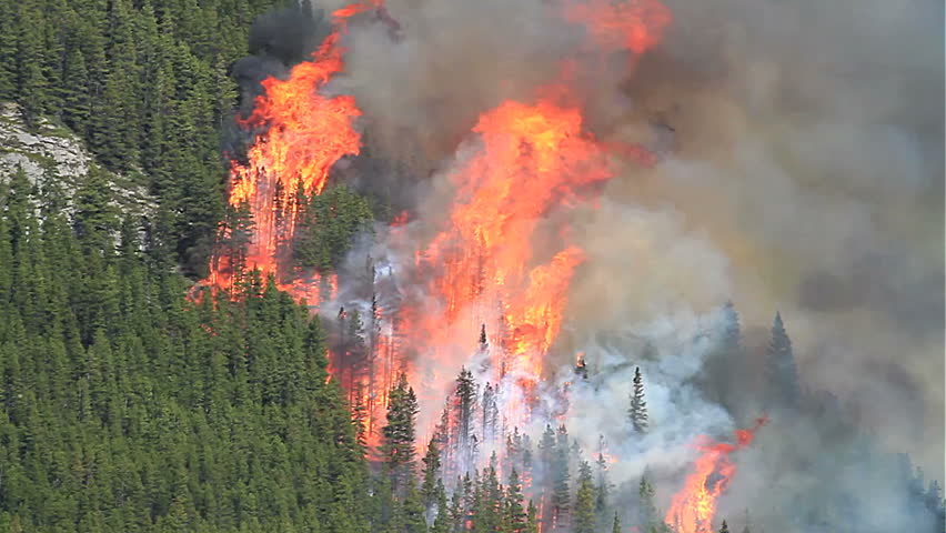 Huge flames and smoke of a forest fire in the Rocky Mountains