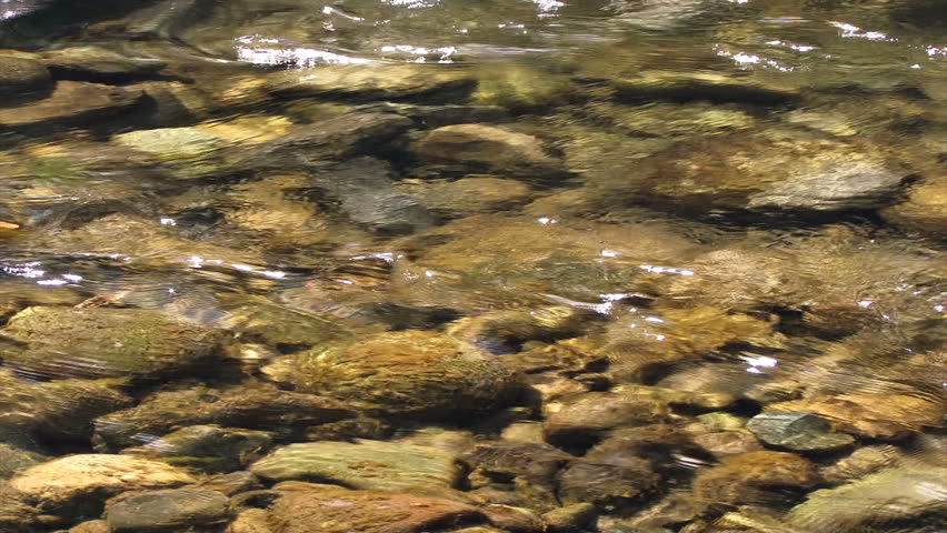 Close up of a shallow stream rippling over rocks and pebbles close to shore.