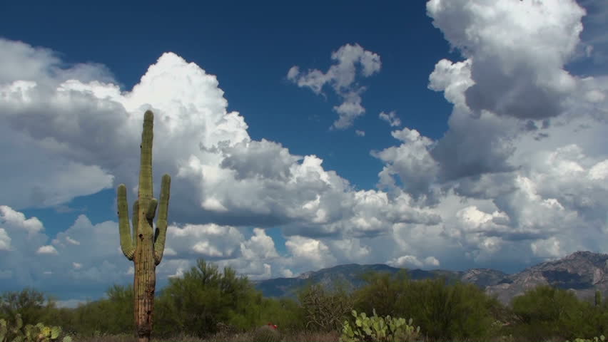 Beautiful time lapse, Clouds soar across Arizona saguaro cactus landscape. 