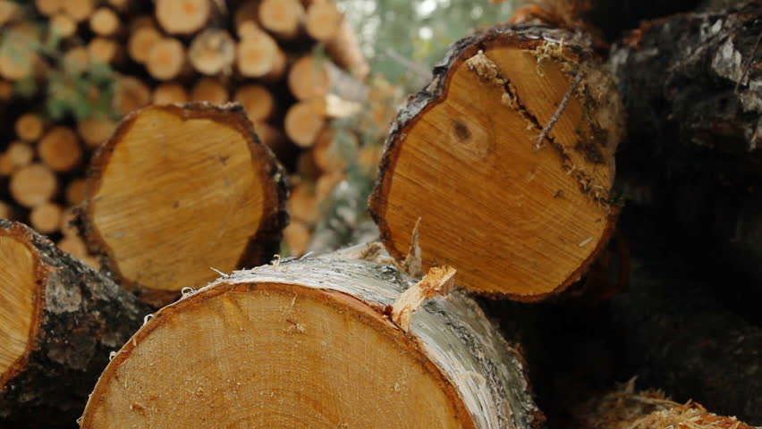 Sawn timber