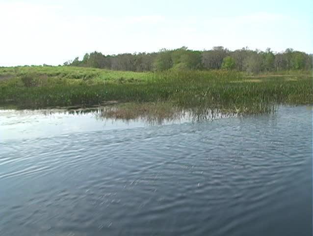 A view of the northernmost part of the Florida everglades from aboard an airboat.  Mini DV with film emulation.  Shot at West Lake Tohopekaliga ("Lake Toho") in Kissimmee, Florida.