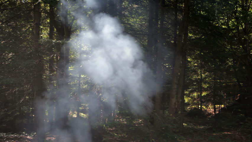 sun light shines through camp fire smoke in the woods 