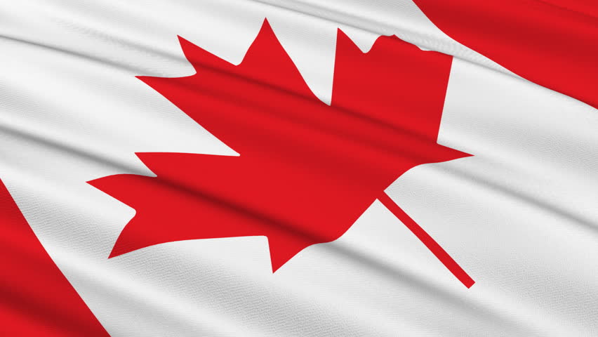 Flag of Canada waving in the wind - very highly detailed fabric texture - seamless looping