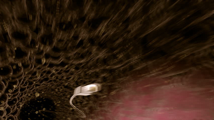 fast and funny sperm/net wire