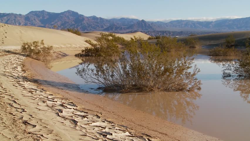 An oasis in Death Valley National Park offers a refuge from the heat.