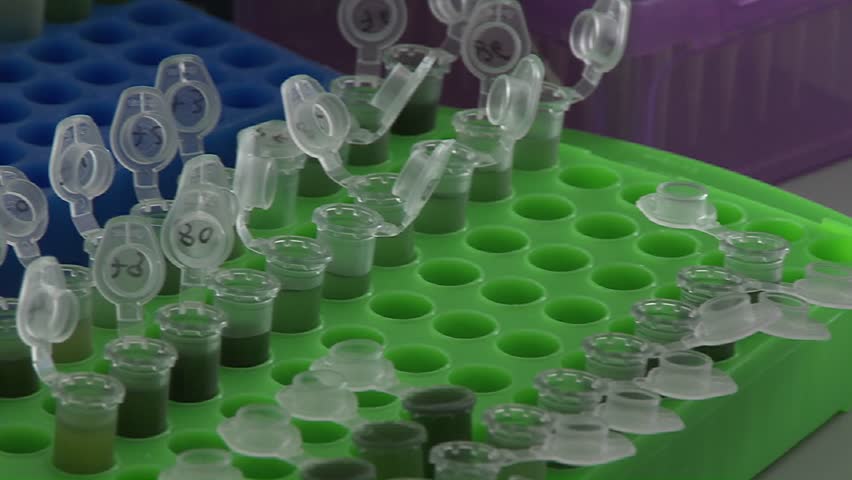 Several reaction vials on a laboratory table in a molecular biology lab.