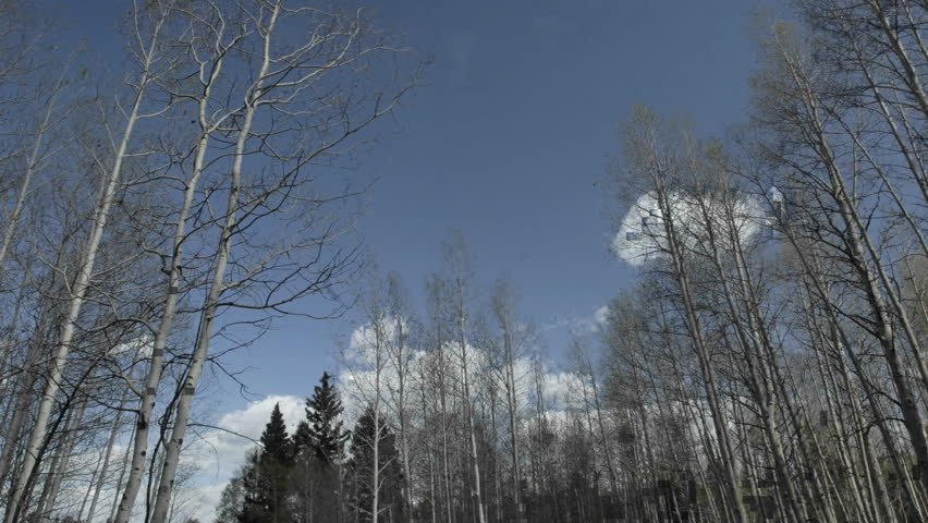 Time lapse of clouds passing over aspens trees in Hopewell Lake, New Mexico.