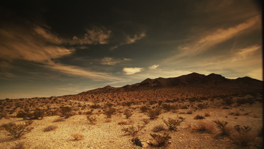 Desert vista at midday