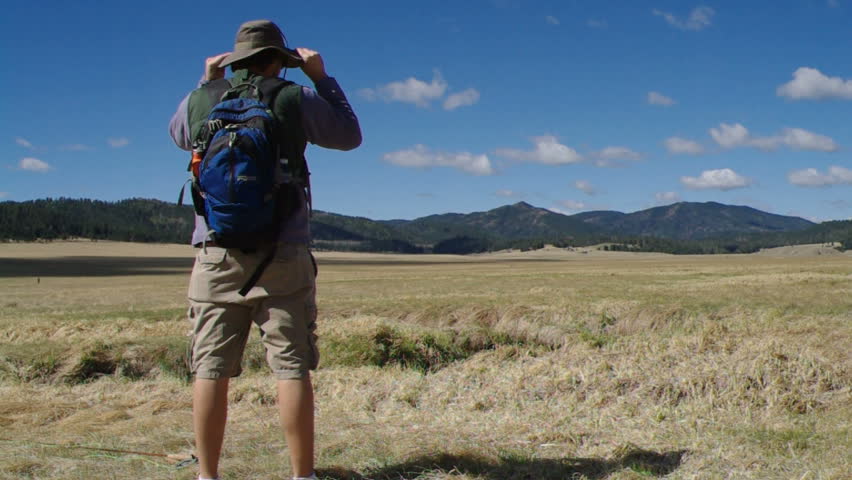 Man gazing over meadow.