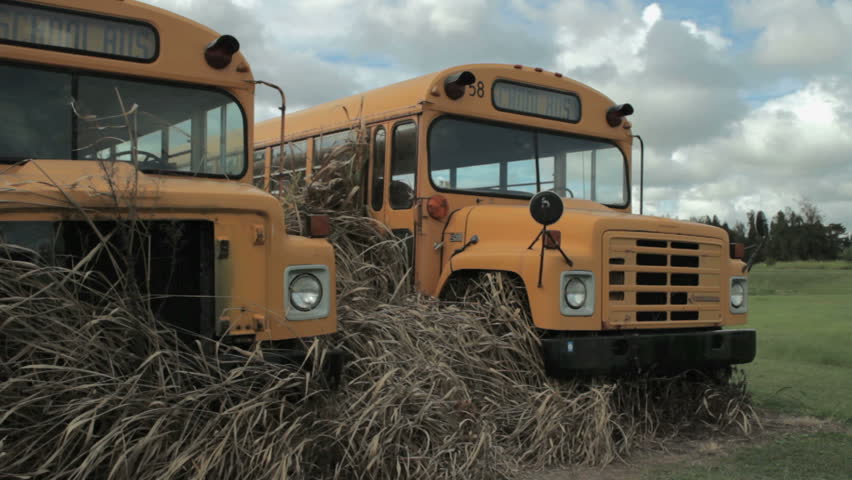 two broken down school busses sit in tall weeds