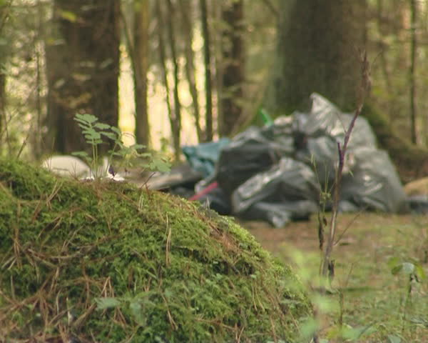 Bunch of garbage spilled in forest. Environmental pollution. 