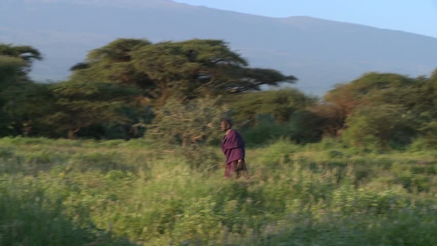 TANZANIA, AFRICA - CIRCA 2009: A Masai warrior walks in front of Mt. Kilimanjaro at dawn circa 2009 in Tanzania.