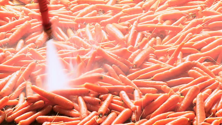 Washing carrots