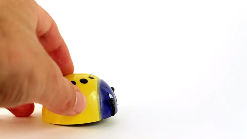 Hand let go small toy ladybird, which begins to move forward, by circle, turns over and moves again
