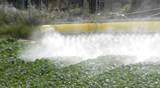 agriculture toxic tractor spraying pesticides crops fertilize organic duster