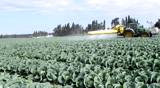 agriculture toxic tractor spraying pesticides crops fertilize organic duster