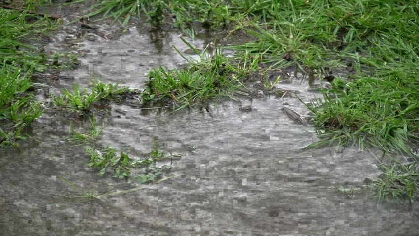 spring rain drops create ripples in puddles surrounded by vivid green grass