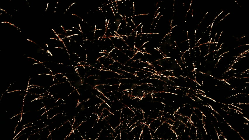 Fireworks in the night sky