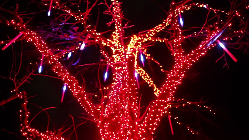 Garland on tree in dark, lamps blinking, view from below at winter
