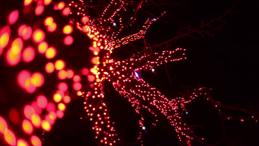 Tree decorated by garland, lamps blinking in dark, view from below at winter night