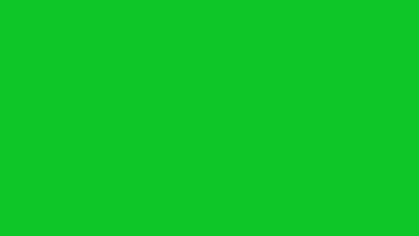 yellow fish swimming in front of green screen