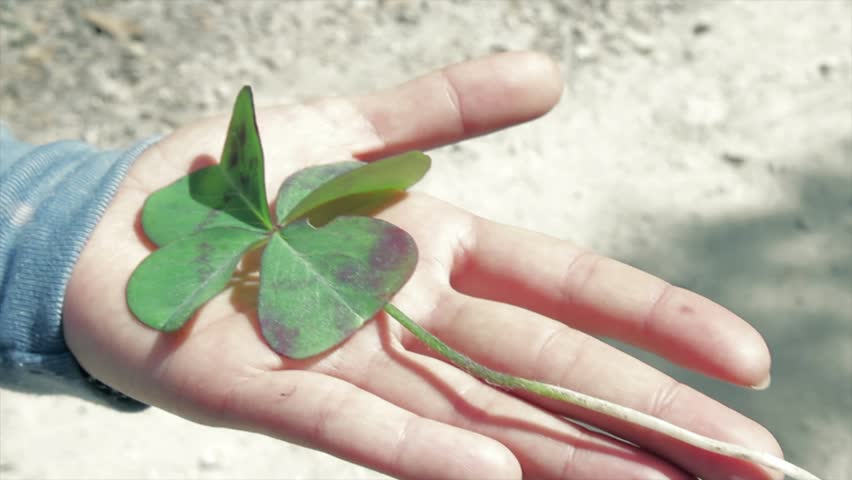 hand holding flower of luck