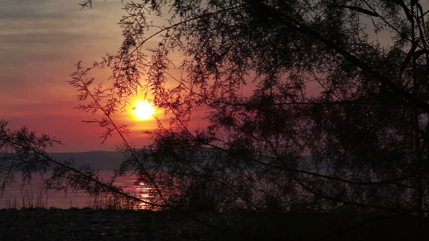 Slider dolly move right to left between two silhouetted bush/tree branches and the sunset at the Sea of Galilee/Tiberius Israel. 