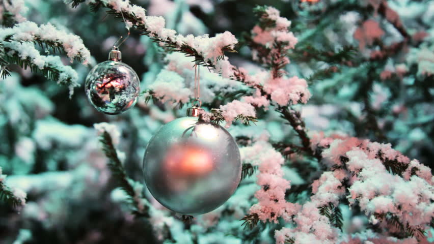 two glass balls silver color hang on snow covered fir in winter forest, closeup