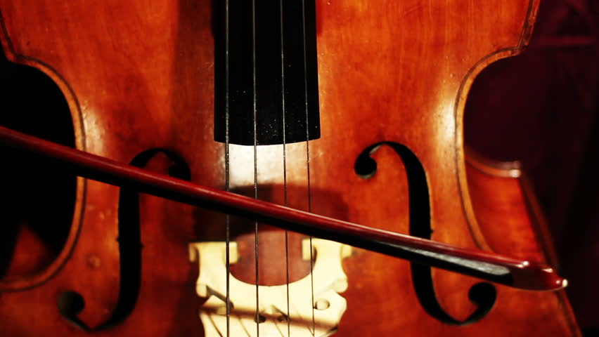 Musician and Double Bass