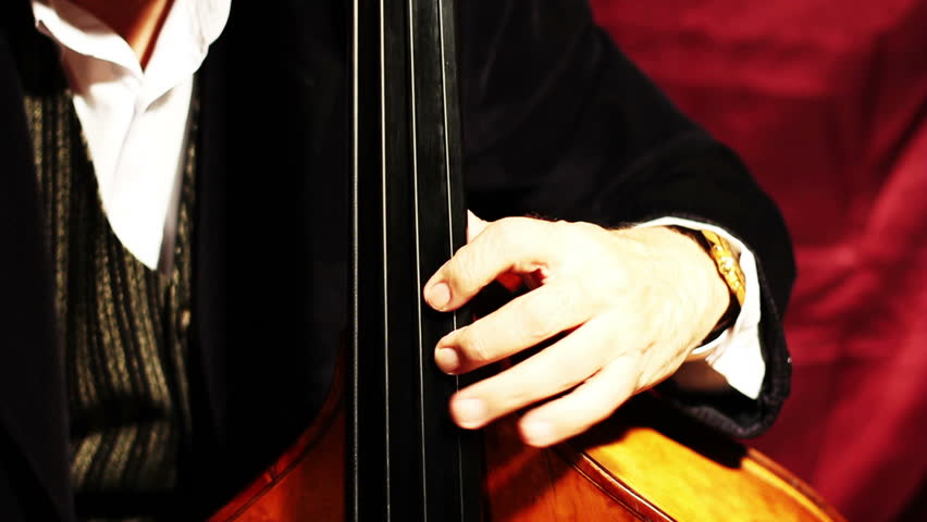 Musician and Double Bass