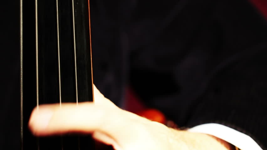 Musician and Double Bass